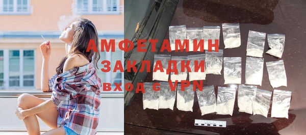 индика Киреевск