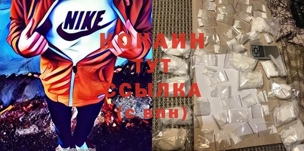 дмт Алзамай