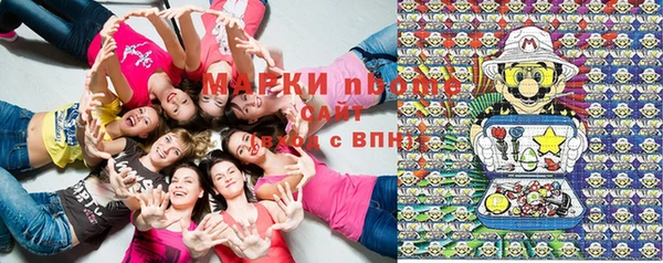 индика Киреевск