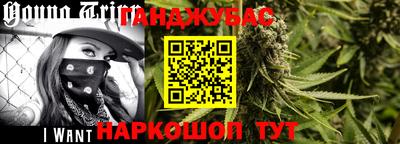 крисы Аргун