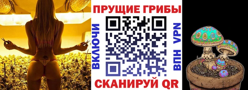 Псилоцибиновые грибы ЛСД Борзя