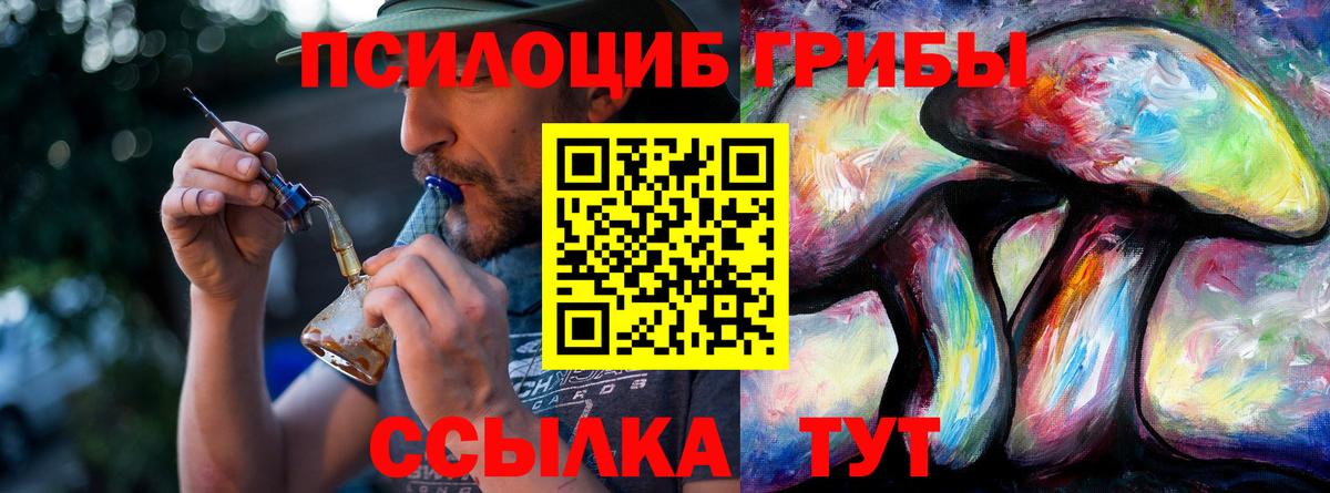 Галлюциногенные грибы MAGIC MUSHROOMS  Вход с VPN  Борзя 