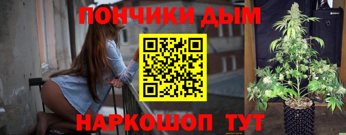 Каннабис индика Борзя
